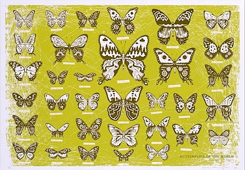Steve Harrington Butterflies of the World.jpg