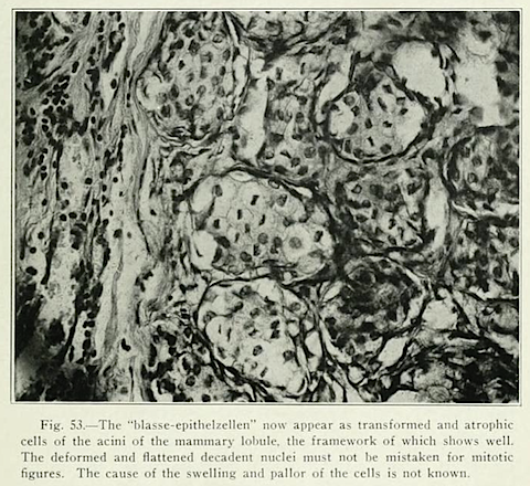 Capture d’écran 2012-04-01 à 14.48.44.png Capture d’écran 2012-04-01 à 14.48.44.png